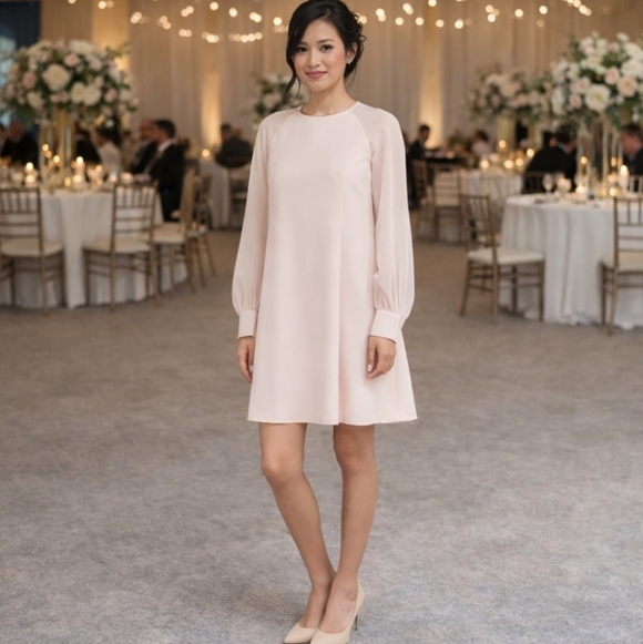 Calvin Klein Dresses & Skirts - New Pink Dress Calvin Klein Soft Blush Long Sheer Sleeves Crepe Party Sz 12